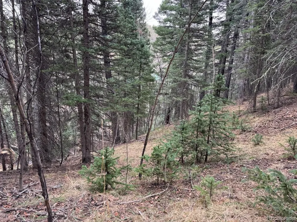 132 Aspen Acres Rye, CO 81252