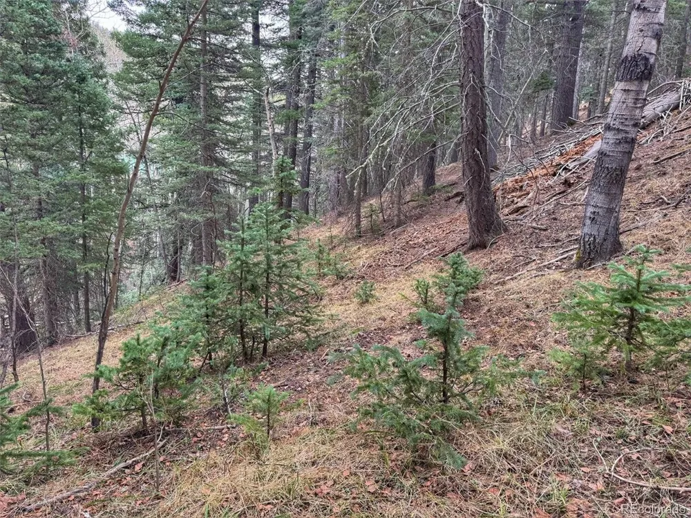 132 Aspen Acres Rye, CO 81252