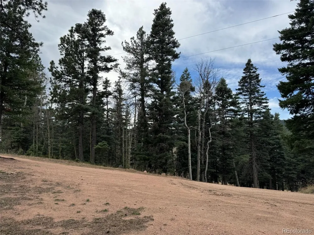 132 Aspen Acres Rye, CO 81252