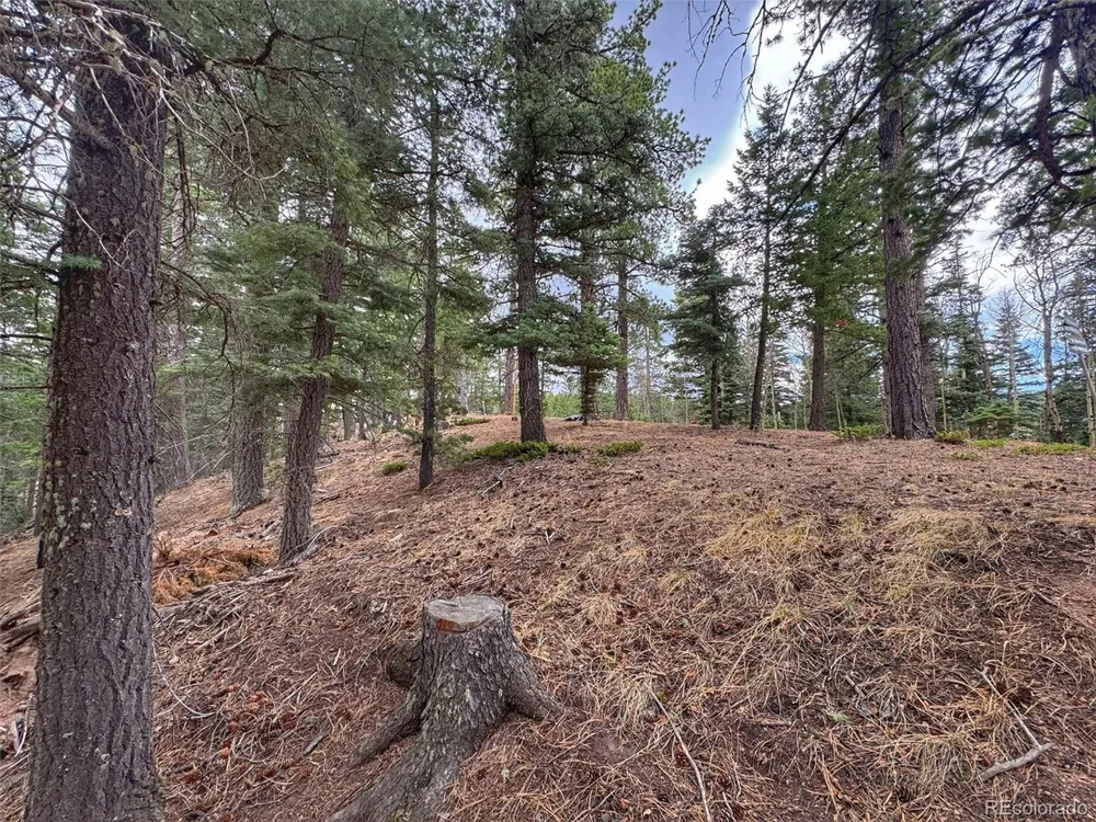 132 Aspen Acres Rye, CO 81252