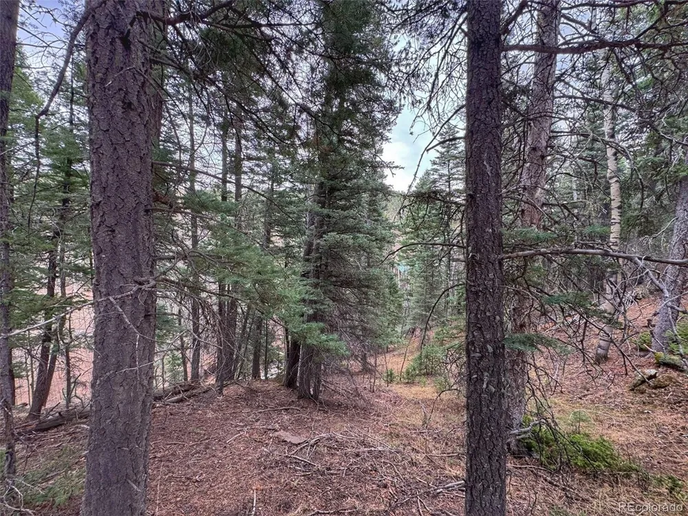 132 Aspen Acres Rye, CO 81252