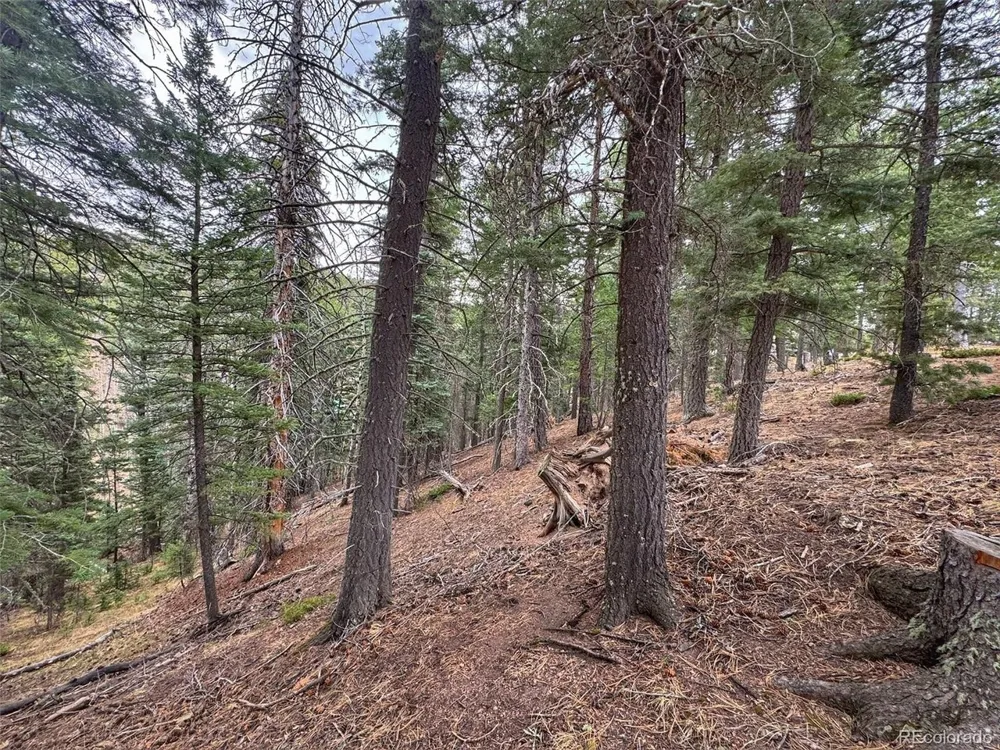 132 Aspen Acres Rye, CO 81252