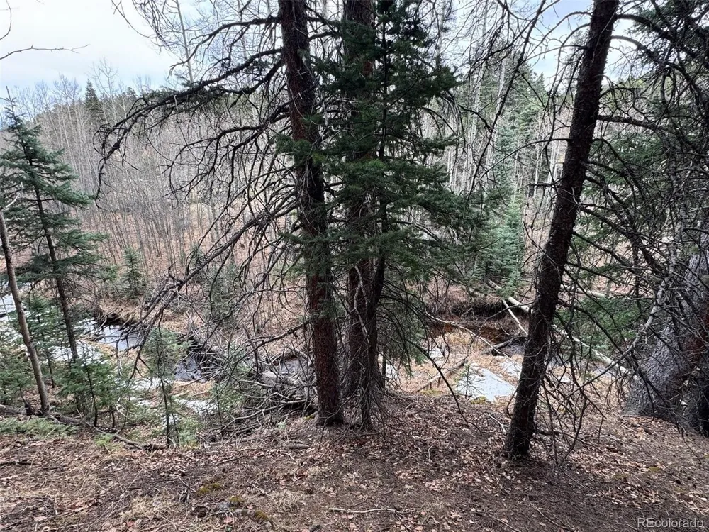 132 Aspen Acres Rye, CO 81252