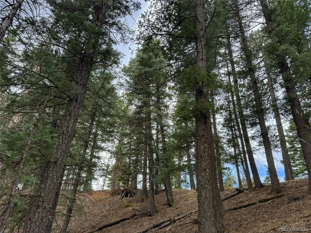 132 Aspen Acres Rye, CO 81252