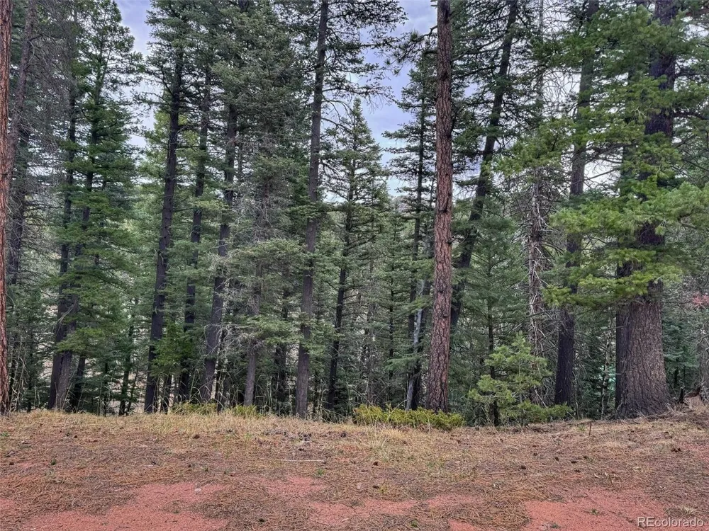 132 Aspen Acres Rye, CO 81252