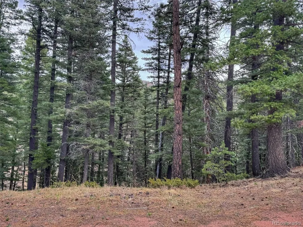 132 Aspen Acres Rye, CO 81252