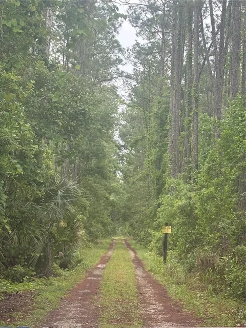 NO STREET