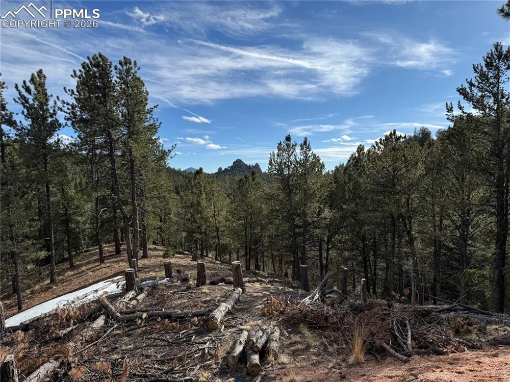 162 Eagle Drive Divide, CO 80813