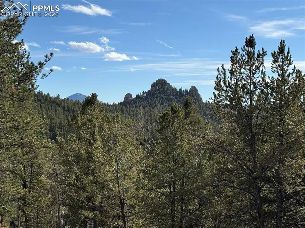 162 Eagle Drive Divide, CO 80813
