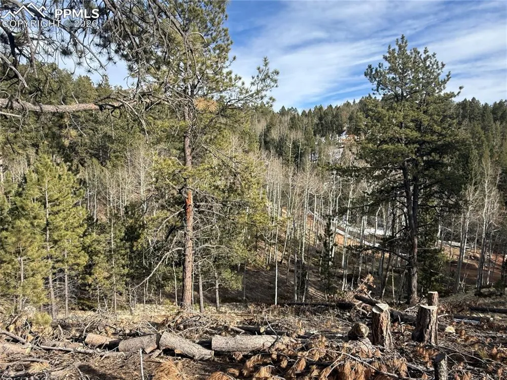 162 Eagle Drive Divide, CO 80813