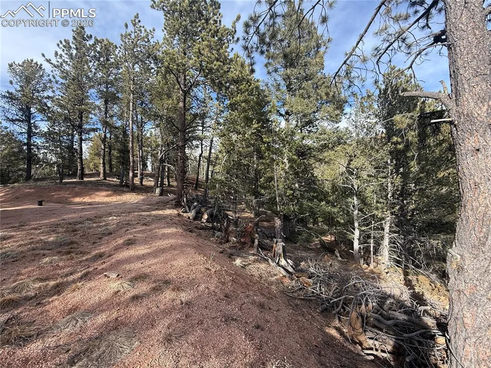 162 Eagle Drive Divide, CO 80813