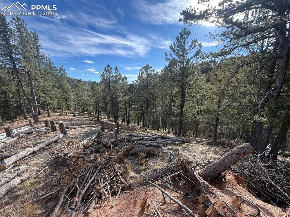 162 Eagle Drive Divide, CO 80813