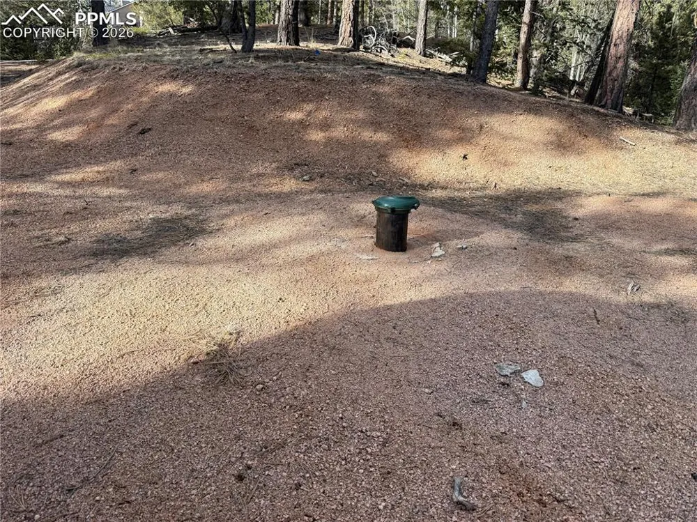 162 Eagle Drive Divide, CO 80813