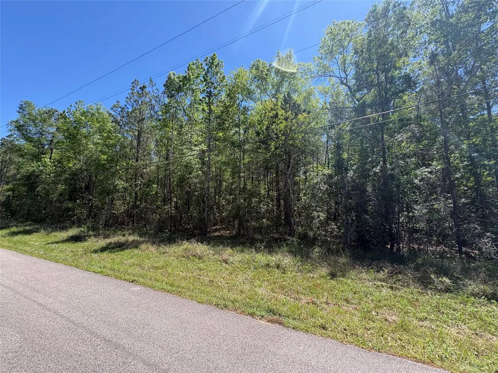 E Williford Kountze, TX 77625