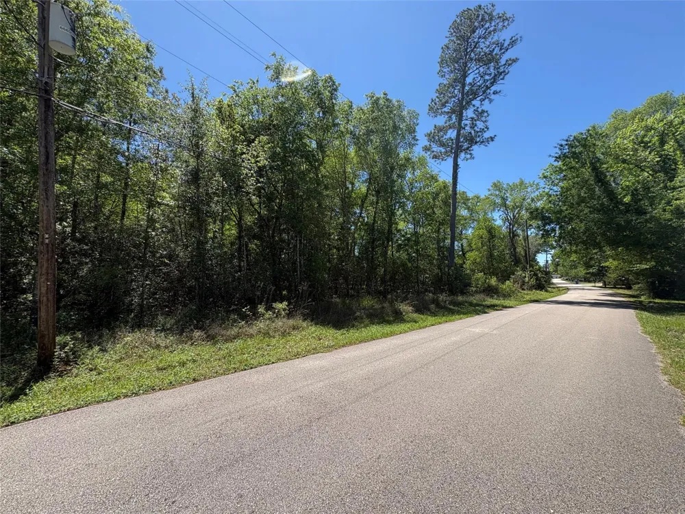 E Williford Kountze, TX 77625