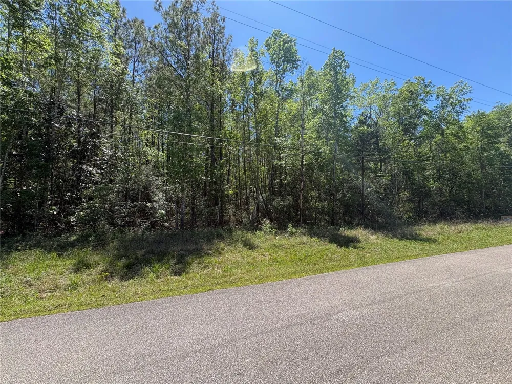 E Williford Kountze, TX 77625