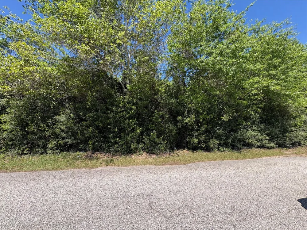 E Williford Kountze, TX 77625