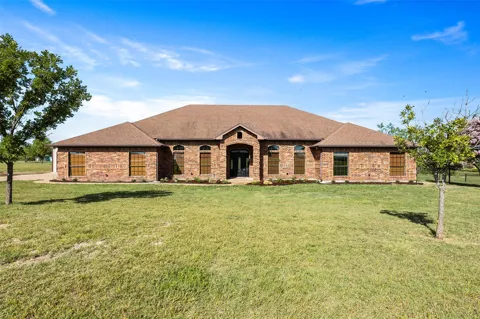 431 Spring meadow
