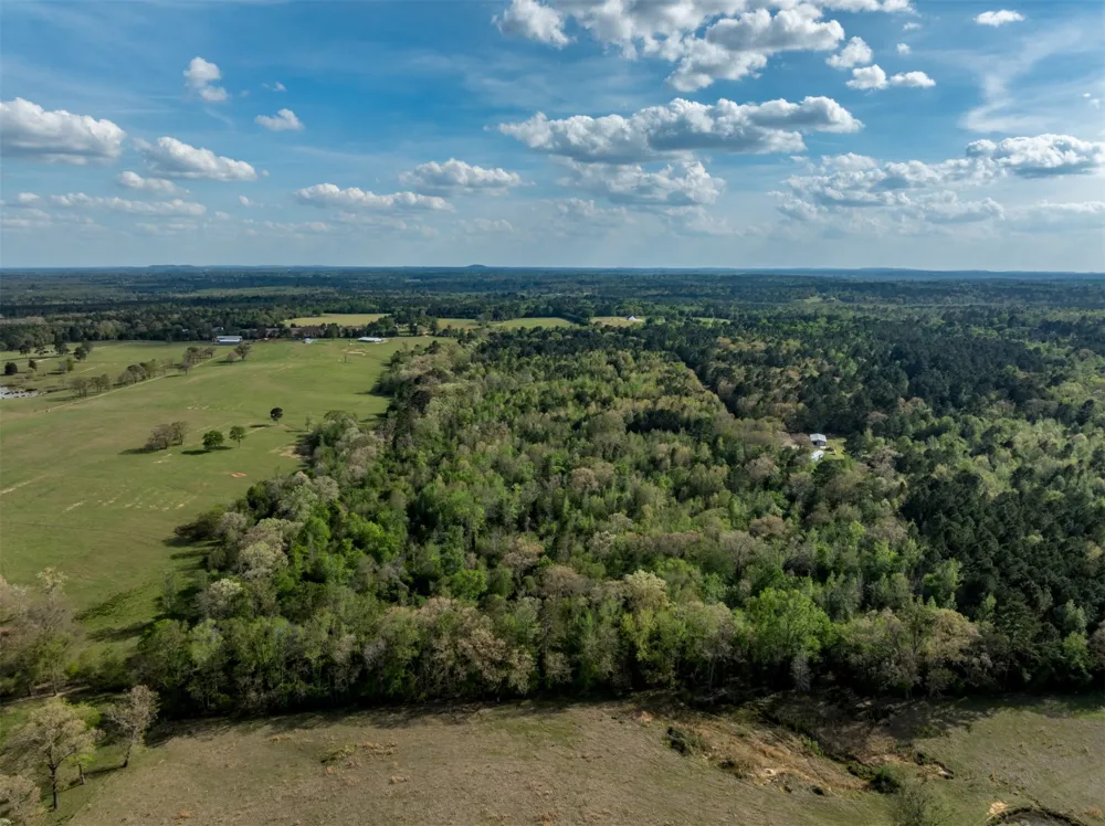 White Tail Road Gilmer, TX 75644