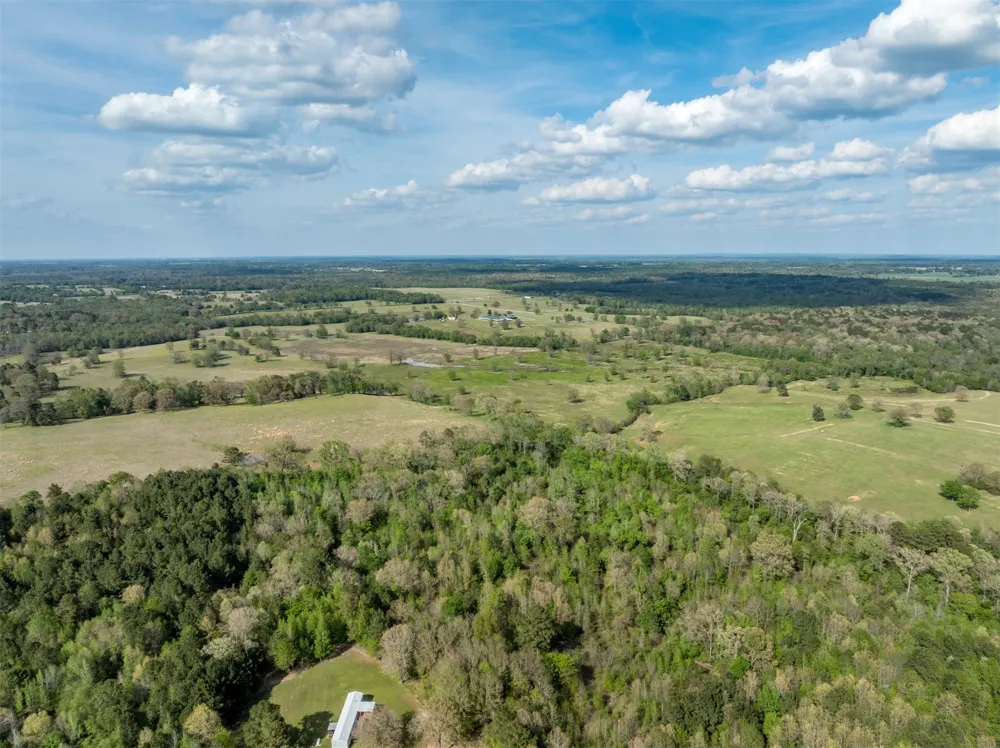 White Tail Road Gilmer, TX 75644