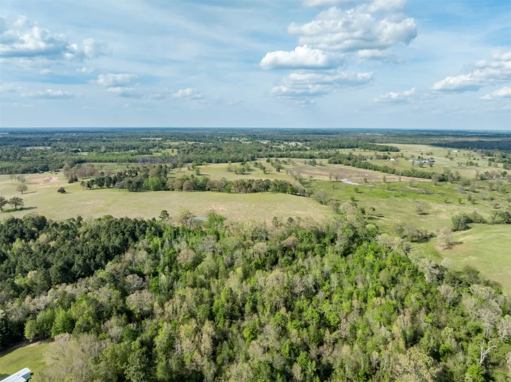 White Tail Road Gilmer, TX 75644