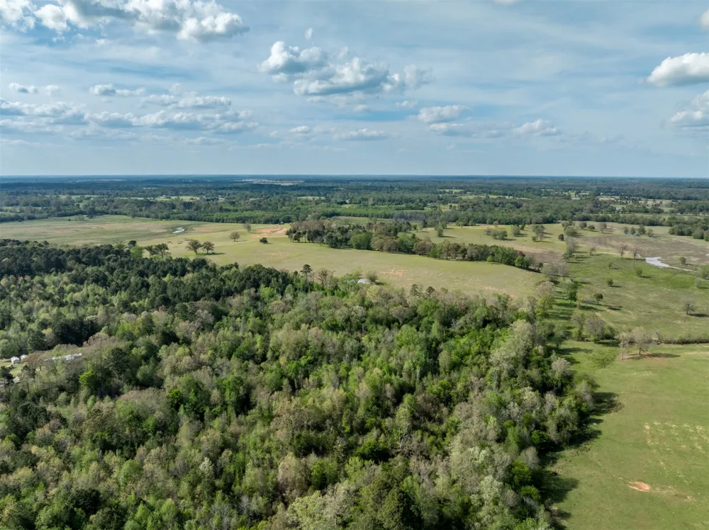 White Tail Road Gilmer, TX 75644