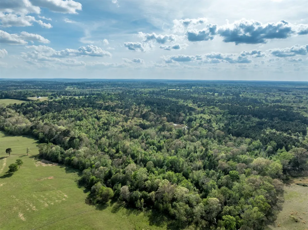 White Tail Road Gilmer, TX 75644