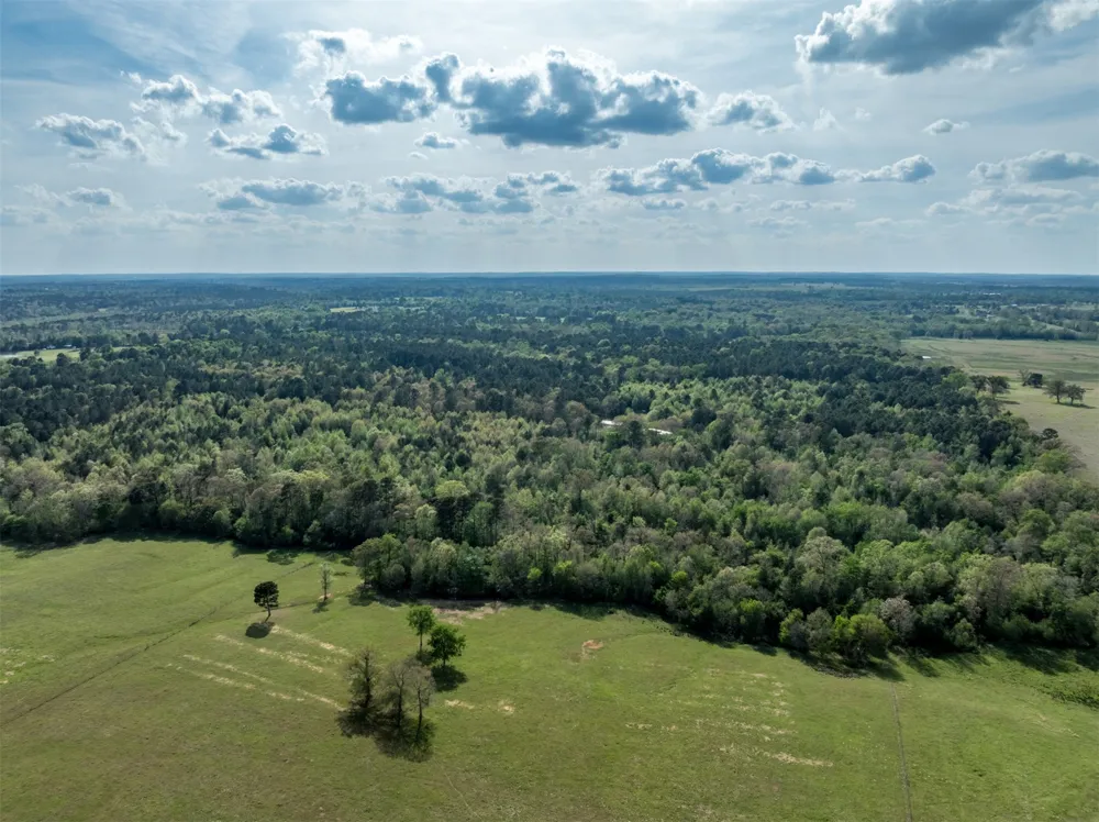 White Tail Road Gilmer, TX 75644