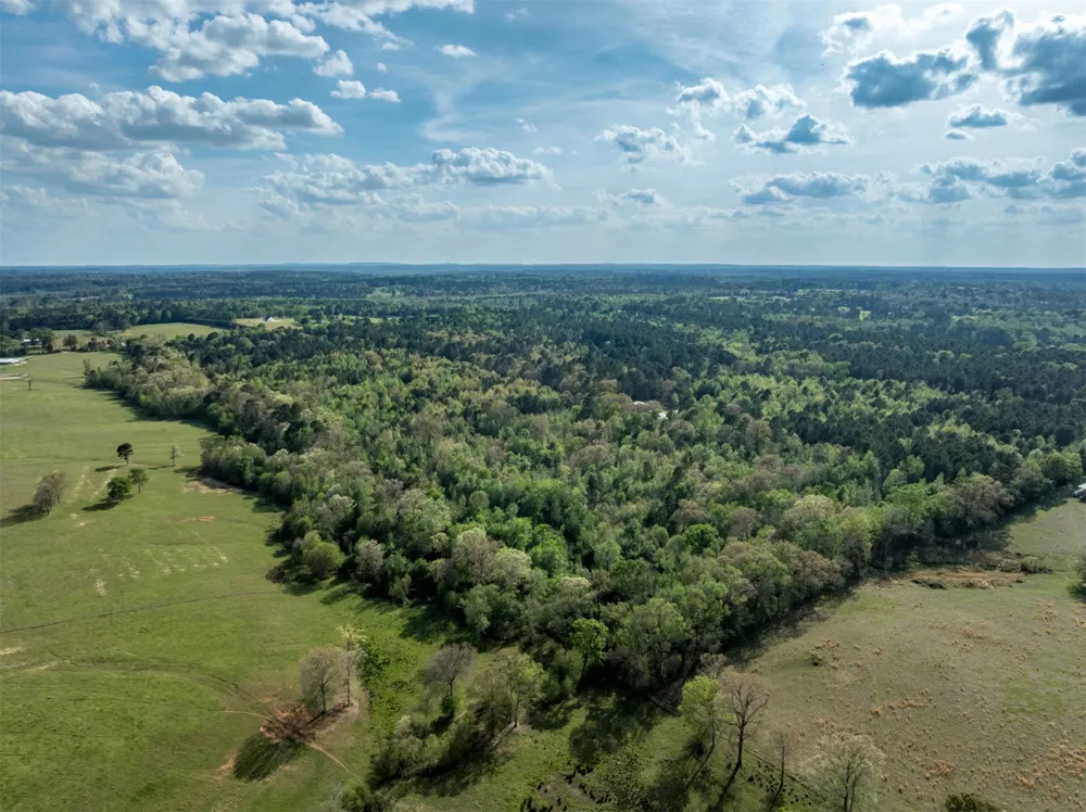 White Tail Road Gilmer, TX 75644