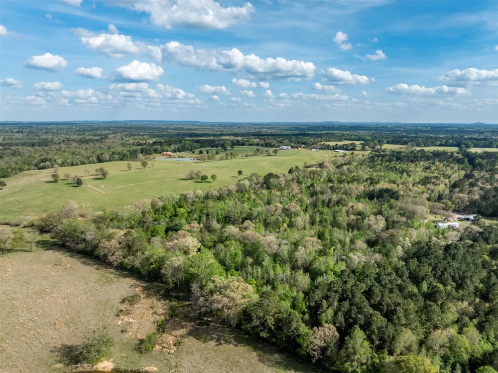 White Tail Road Gilmer, TX 75644