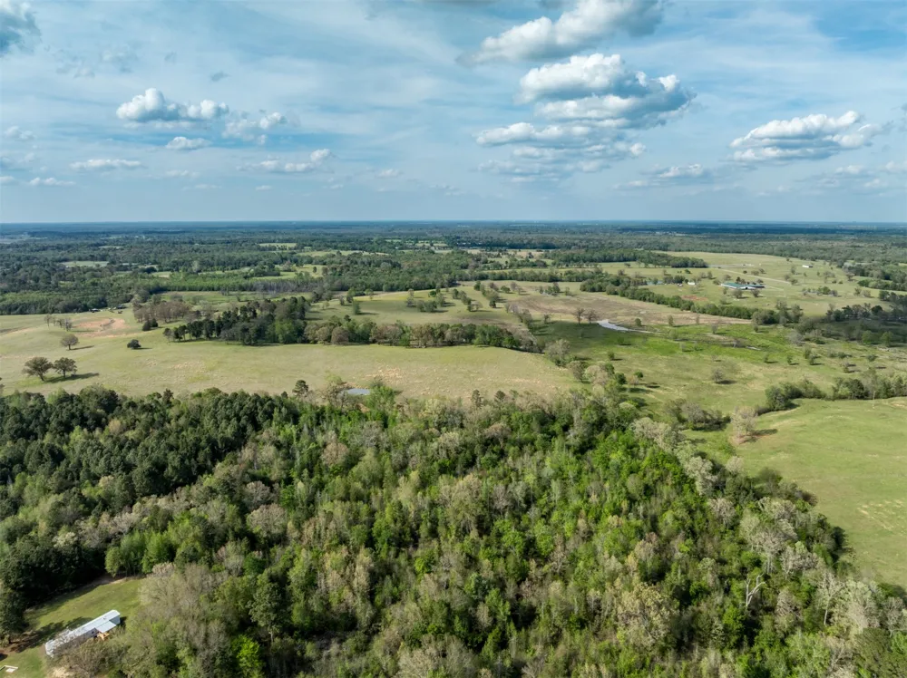 White Tail Road Gilmer, TX 75644