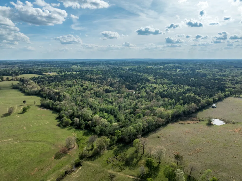 White Tail Road Gilmer, TX 75644