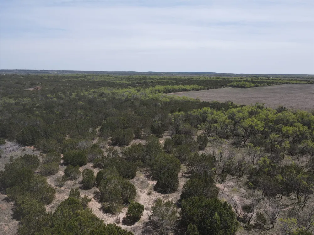 FM 1086 No City, TX 75966