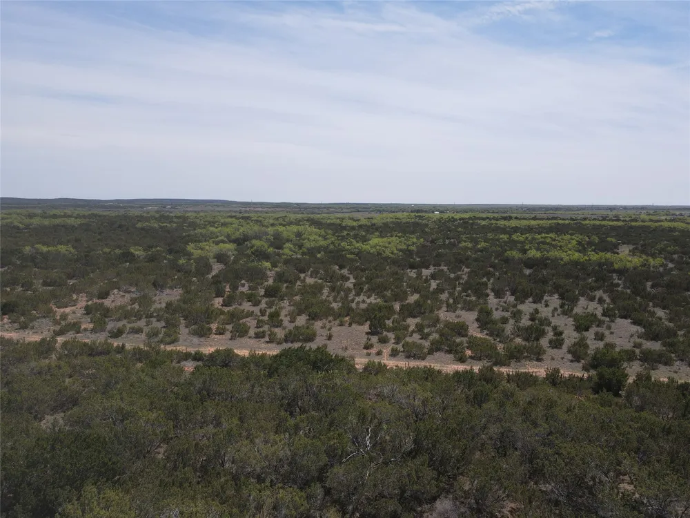 FM 1086 No City, TX 75966
