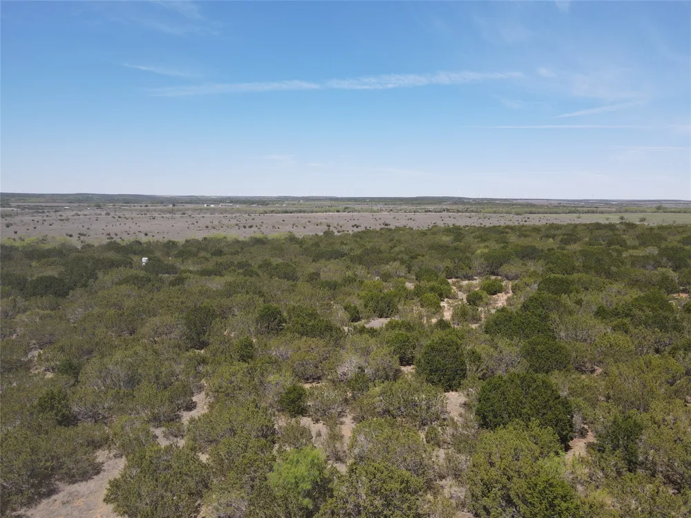 FM 1086 No City, TX 75966