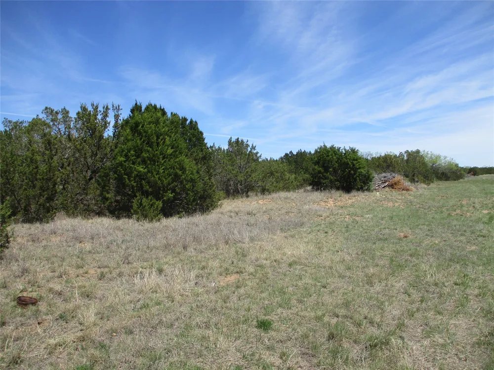 FM 1086 No City, TX 75966