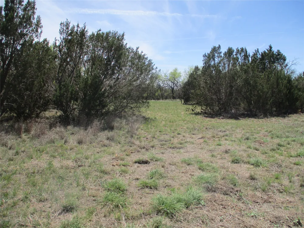 FM 1086 No City, TX 75966