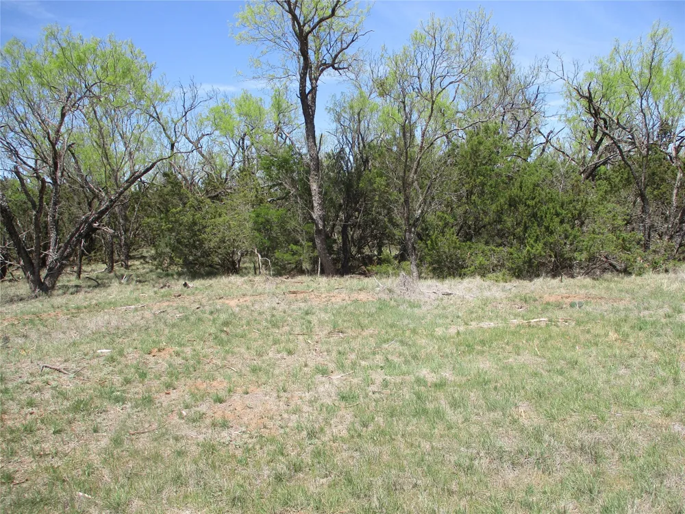 FM 1086 No City, TX 75966