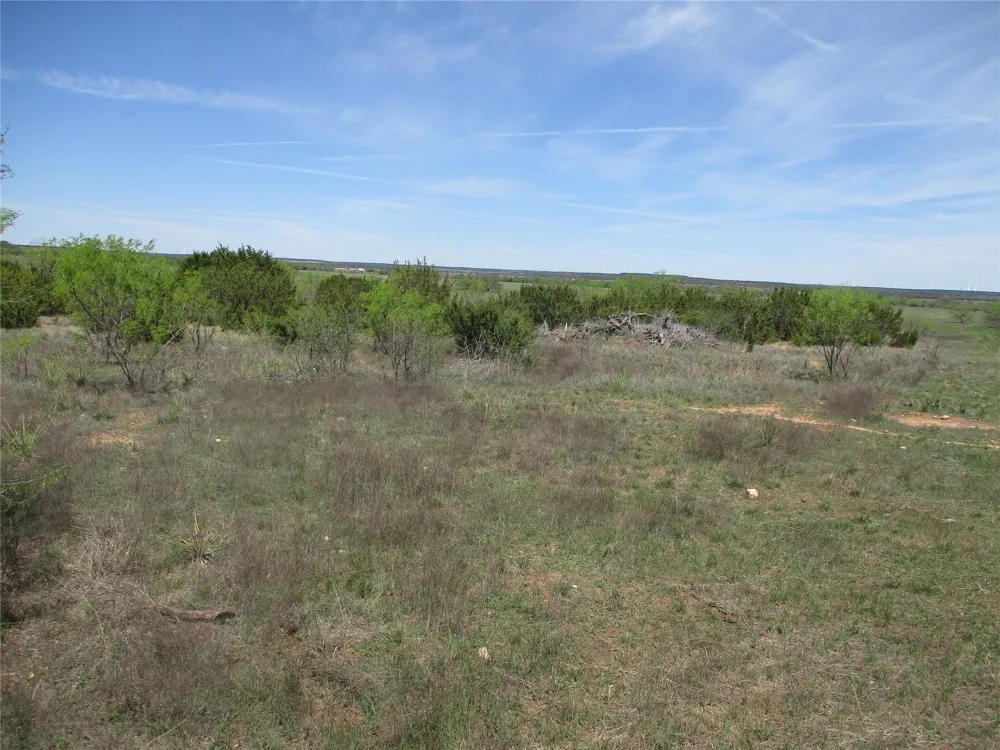 FM 1086 No City, TX 75966