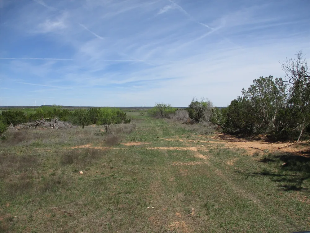 FM 1086 No City, TX 75966