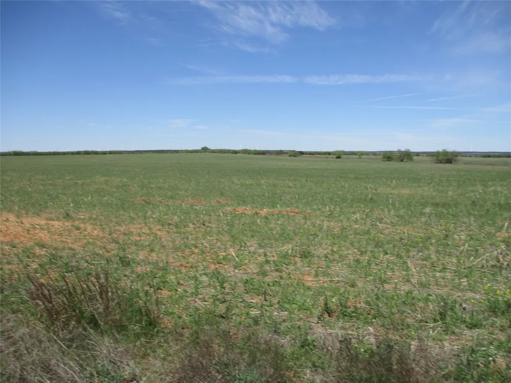 FM 1086 No City, TX 75966