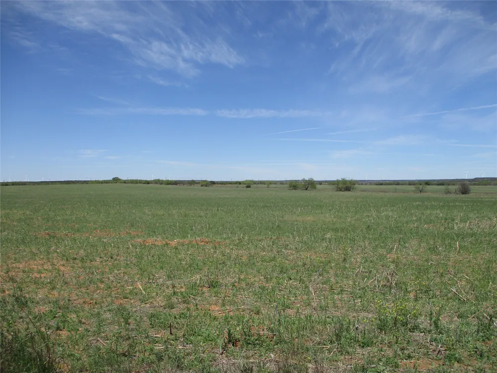 FM 1086 No City, TX 75966