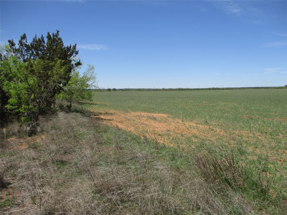 FM 1086 No City, TX 75966