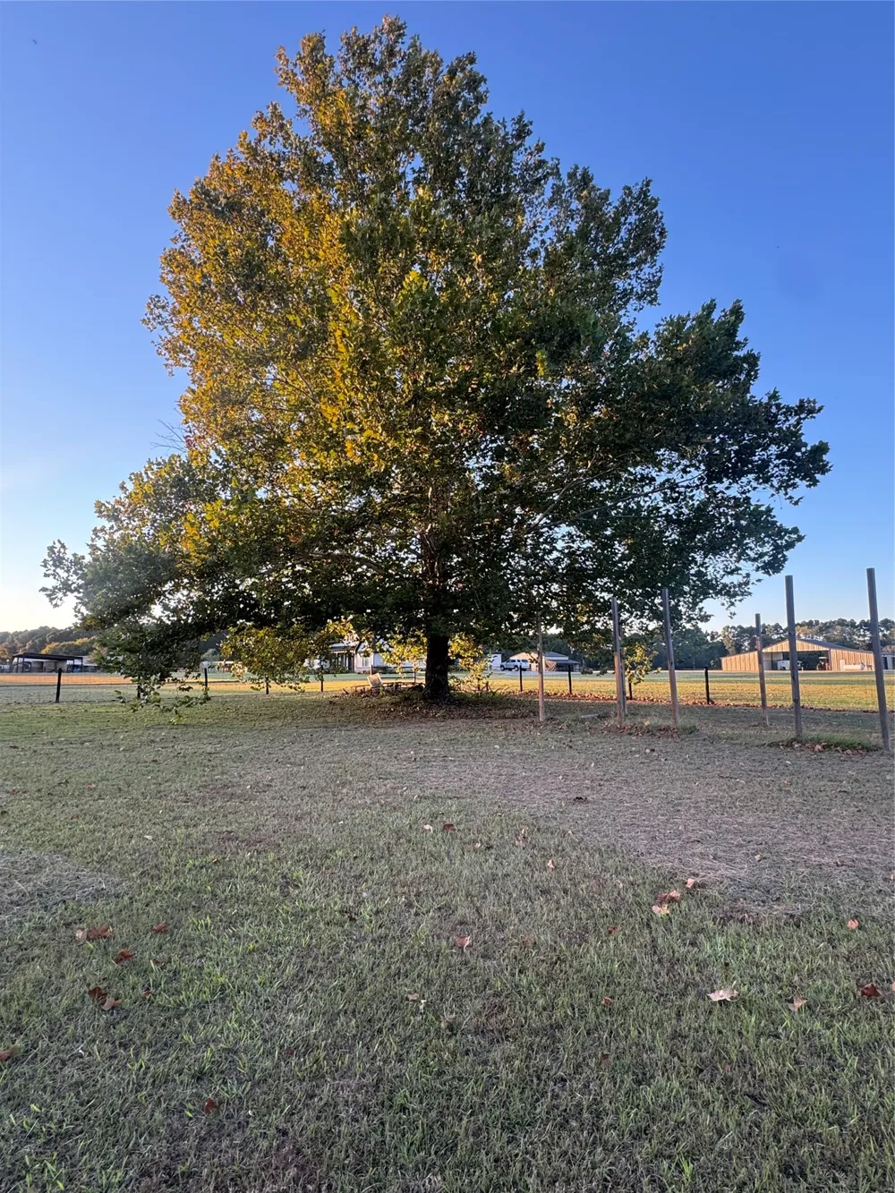 475 Acorn Trail Hallsville, TX 75650