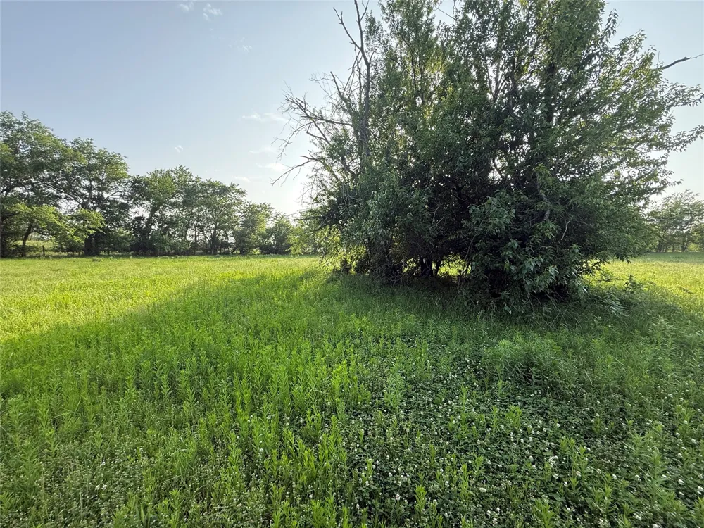 County Road 3528 Saltillo, TX 75478