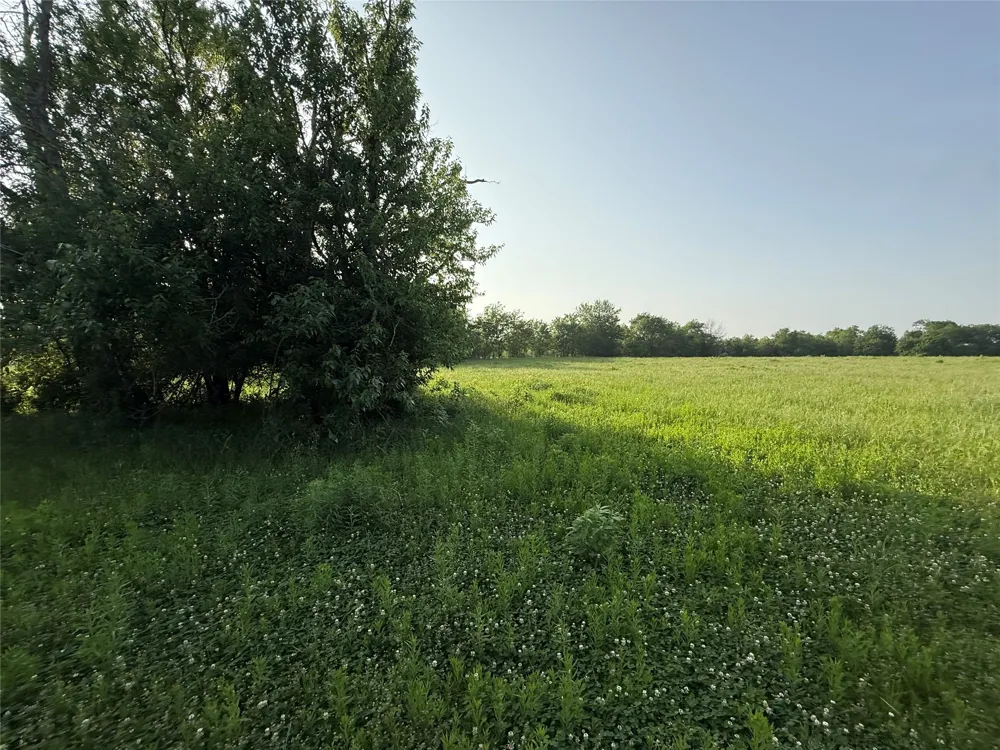County Road 3528 Saltillo, TX 75478