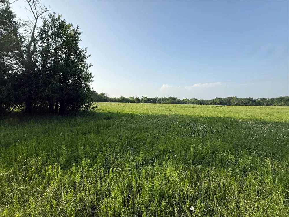County Road 3528 Saltillo, TX 75478