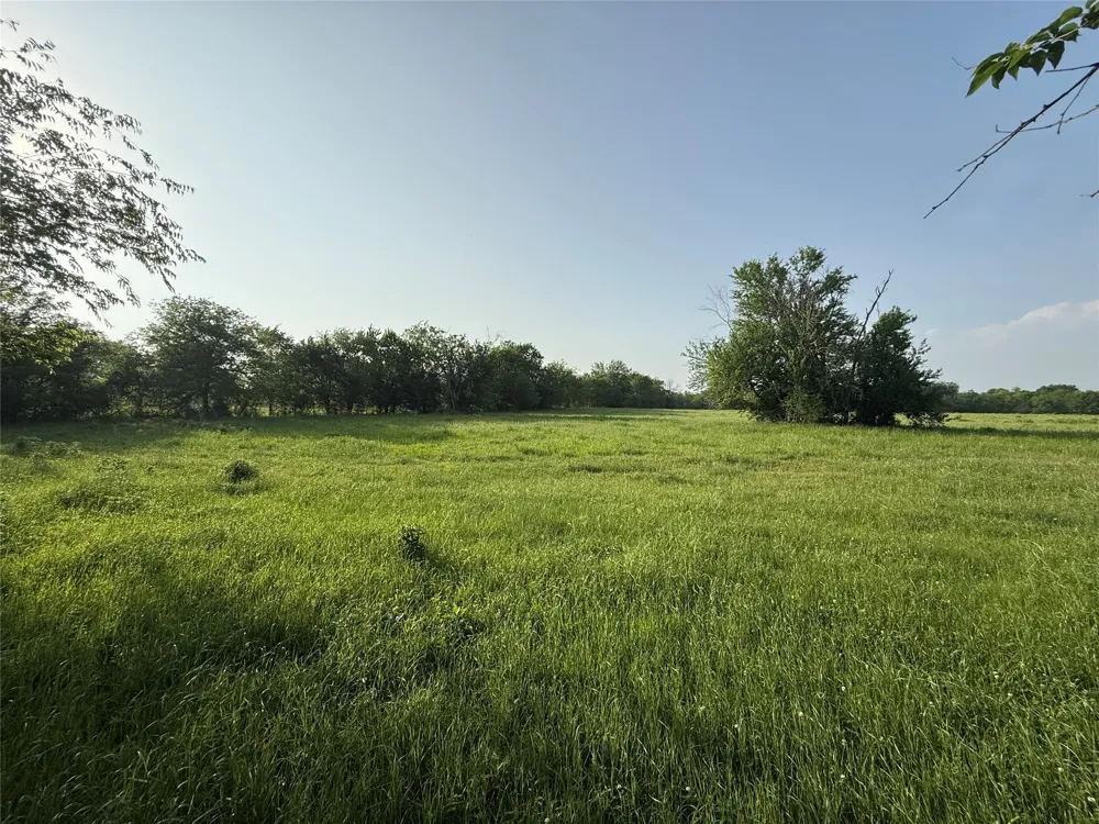 County Road 3528 Saltillo, TX 75478