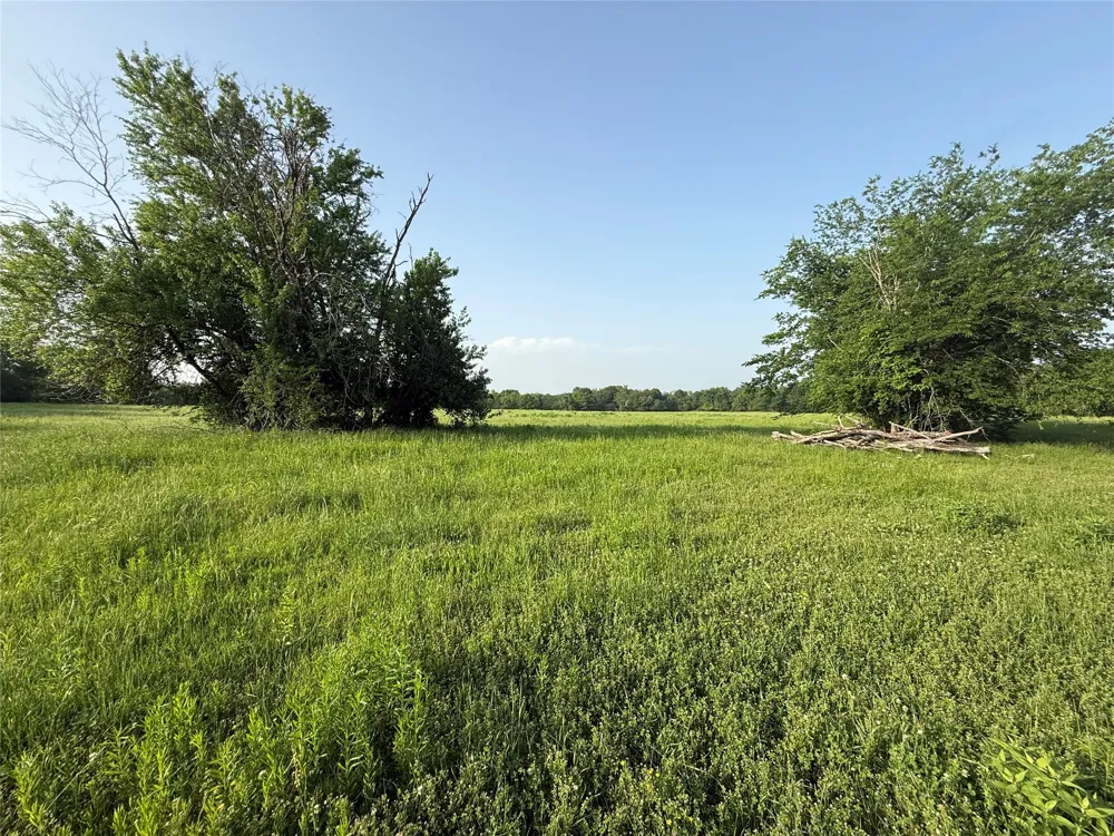 County Road 3528 Saltillo, TX 75478