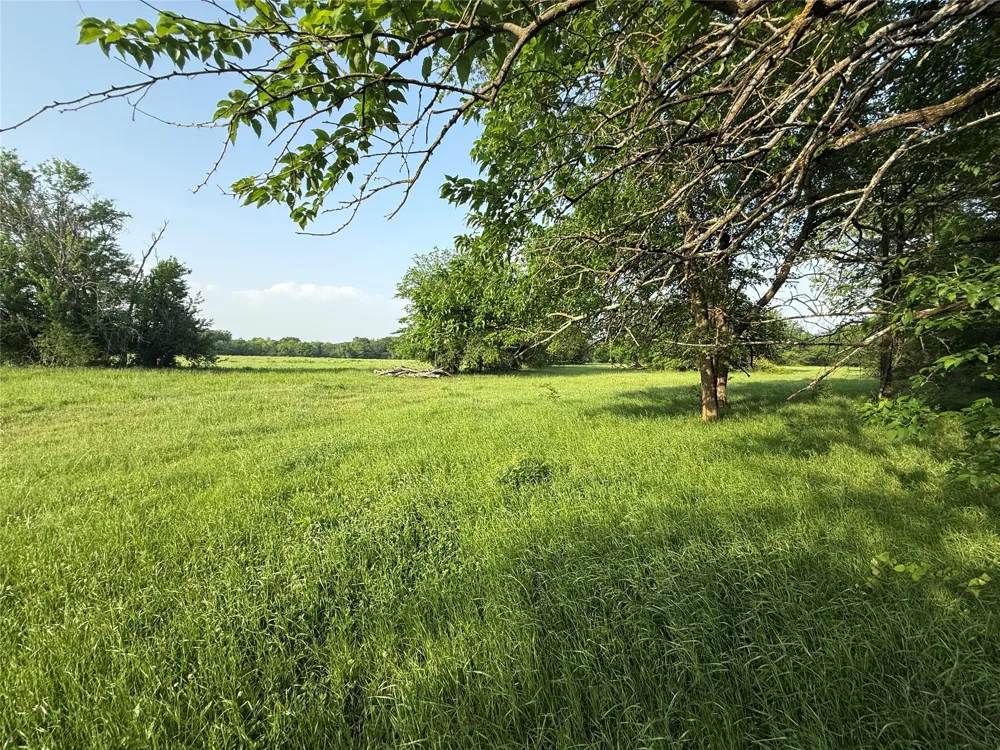 County Road 3528 Saltillo, TX 75478